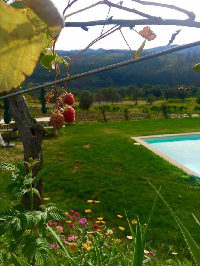 Quinta Da Aranha Villa Arcos de Valdevez Exterior foto
